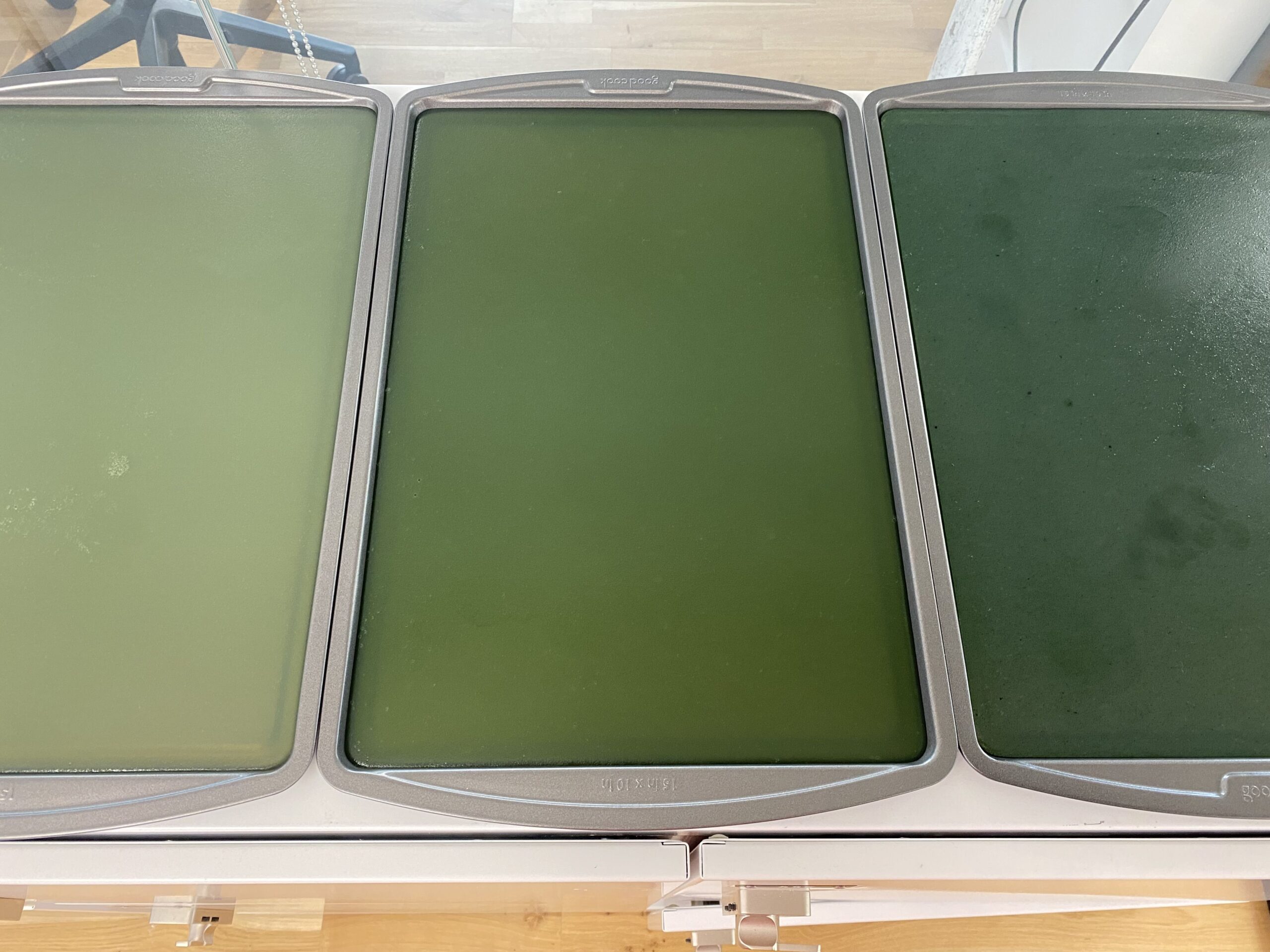 Three sheets of green, spirulina-dyed sheets of bioplastic in baking trays.