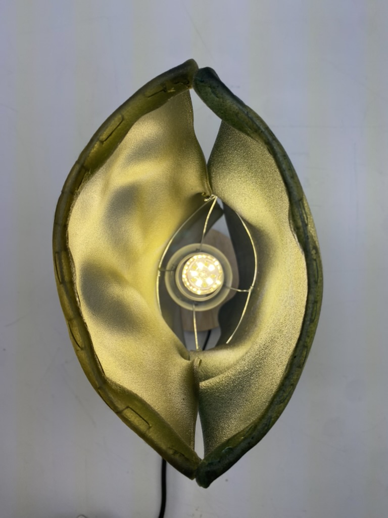 Illuminated spirulina lamp (top view).