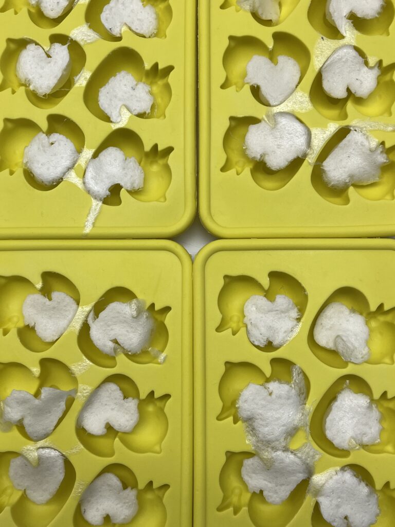 Even more shrunk biofoam ducks in silicone mold after a few more days of drying.