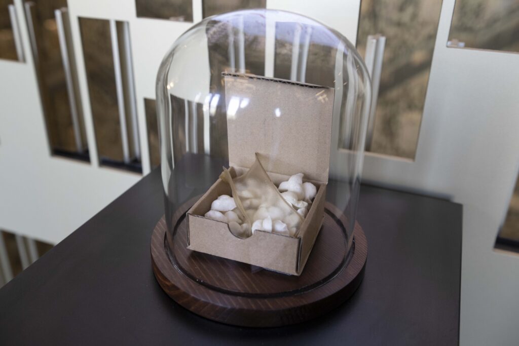 "Sustainable Material Workshop" installation exhibited in NYU's Bobst Library.