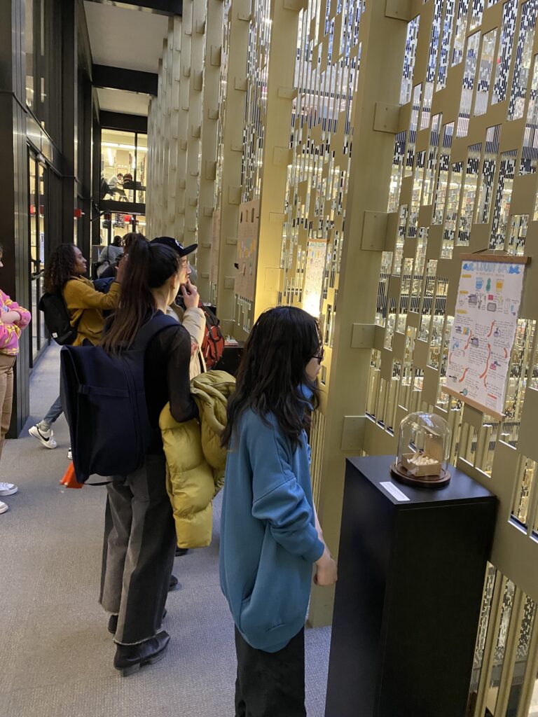 "Sustainable Material Workshop" installation exhibited in NYU's Bobst Library.