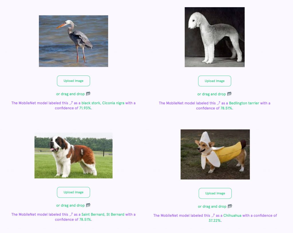 Screenshots of classifications