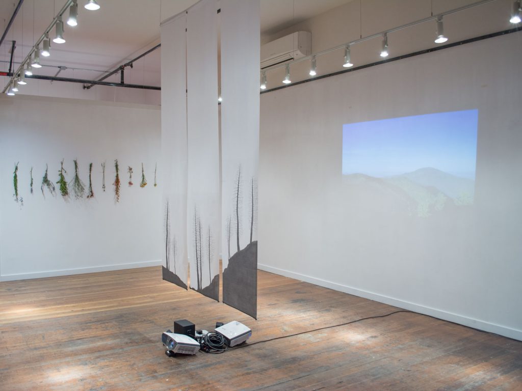 Behold! The Sun Comes Over the Mountain (2018), installation view, Richmond Art Collective, Spokane, WA. Image courtesy of the artist.