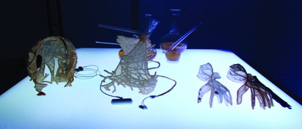 Figure 3. Wearable structures made from bacterial cellulose, mixed with 3D printed structures. 