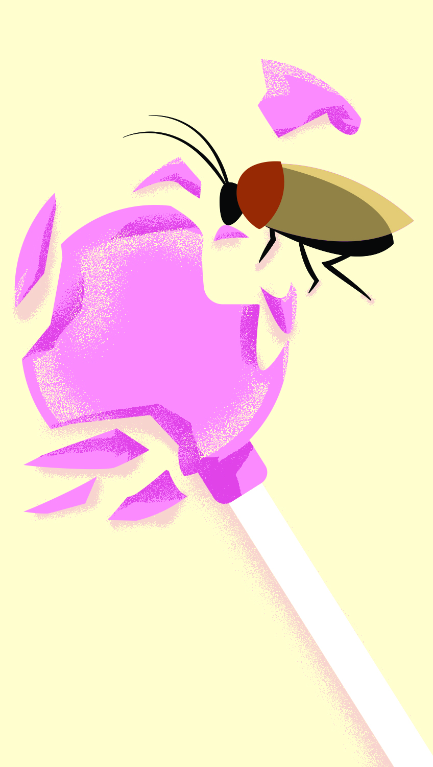 Image Caption: Illustration of a cockroach next to a broken lollipop.
