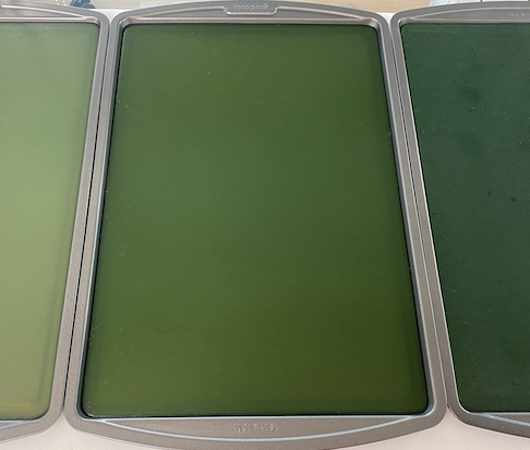 Green Ocean Agar Agar Bioplastic Recipe