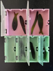 Colorful, fish-shaped bioplastic fishing lures inside compartments of tackle box.