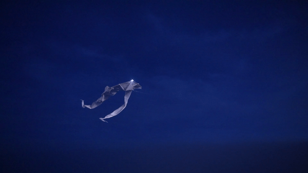 short loop of a kite flying through the air