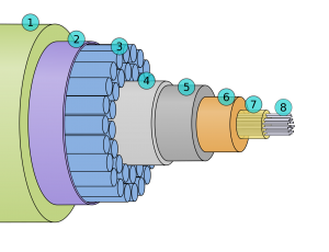 Cross section of an under water cable