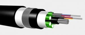 Inside a multi-fiber cable, a cable with cables inside