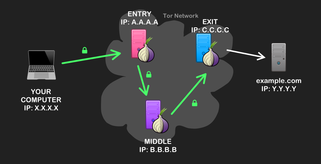 Image description: Diagram of a path from your computer to a website, going through the Tor network.