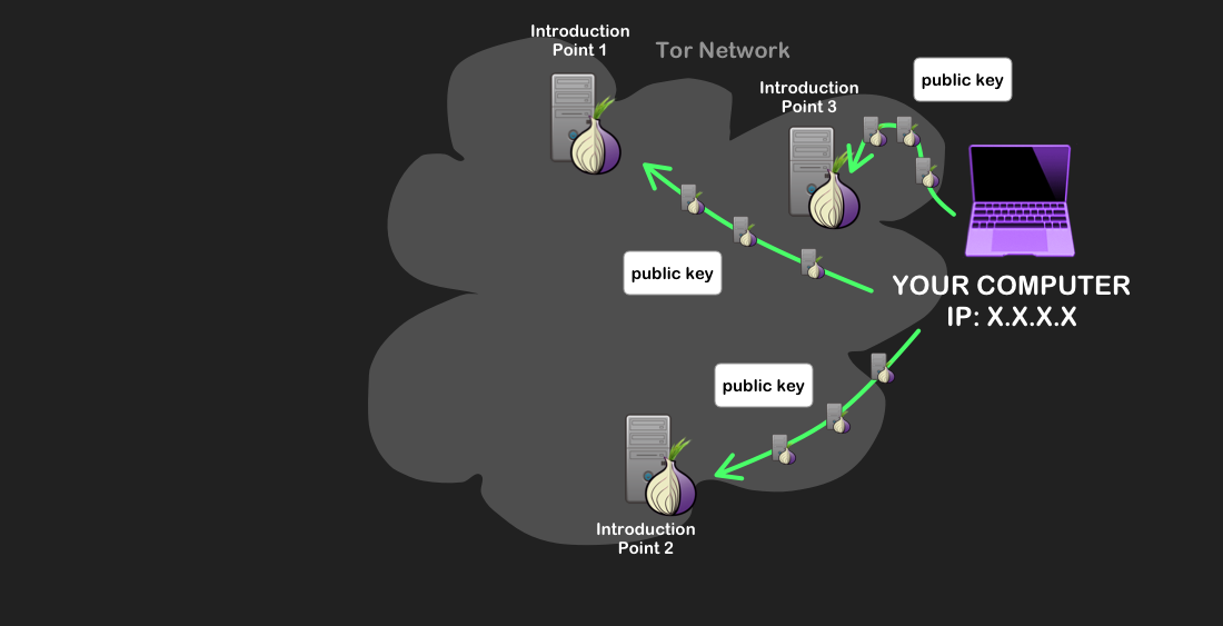 Image description: The onion service communicating its public key to its introduction points via Tor circuits.