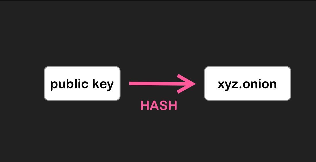 Image description: A diagram of the public key turning into the domain name via the hash function.