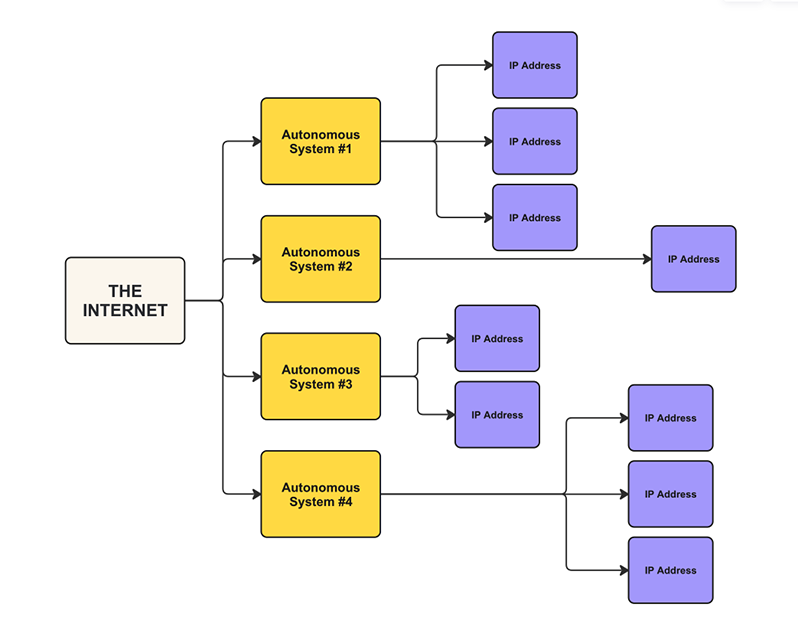 a flowchart with 3 layers. the topmost layer is a box titled "the internet" that feeds into the second layer composed of 4 boxes, each titled "autonomous system #" that are numbered 1-4. The third layer is composed of purple boxes with the text "ip address" inside of them. there are 3 purple boxes connected to the first autonomous system, 1 purple box connected to the second autonomous system, 2 purple boxes connected to the third autonomous system, and 3 purple boxes connected to the fourth autonomous system.