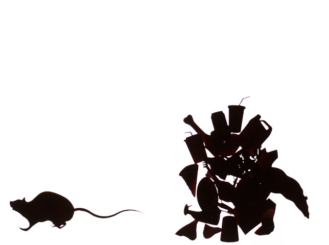 An interactive installation on the relations between humans and rats mediated by trash.