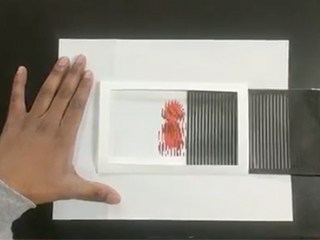 This is a project that helps generate kinegrams, a type of paper/animation illusion.