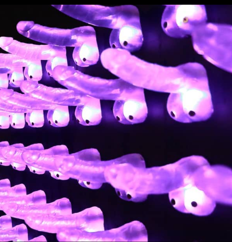 Corpus Phallosum is an interactive installation where 144 transparent dildos lit from within by LEDs act as switches that trigger different animations, sounds, and other functions. The default mode is as a MIDI piano with rippling animations, but to see what mode it's currently in, press one and find out!