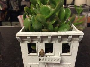 plant inside mini house model