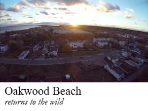 oakwood beach aerial