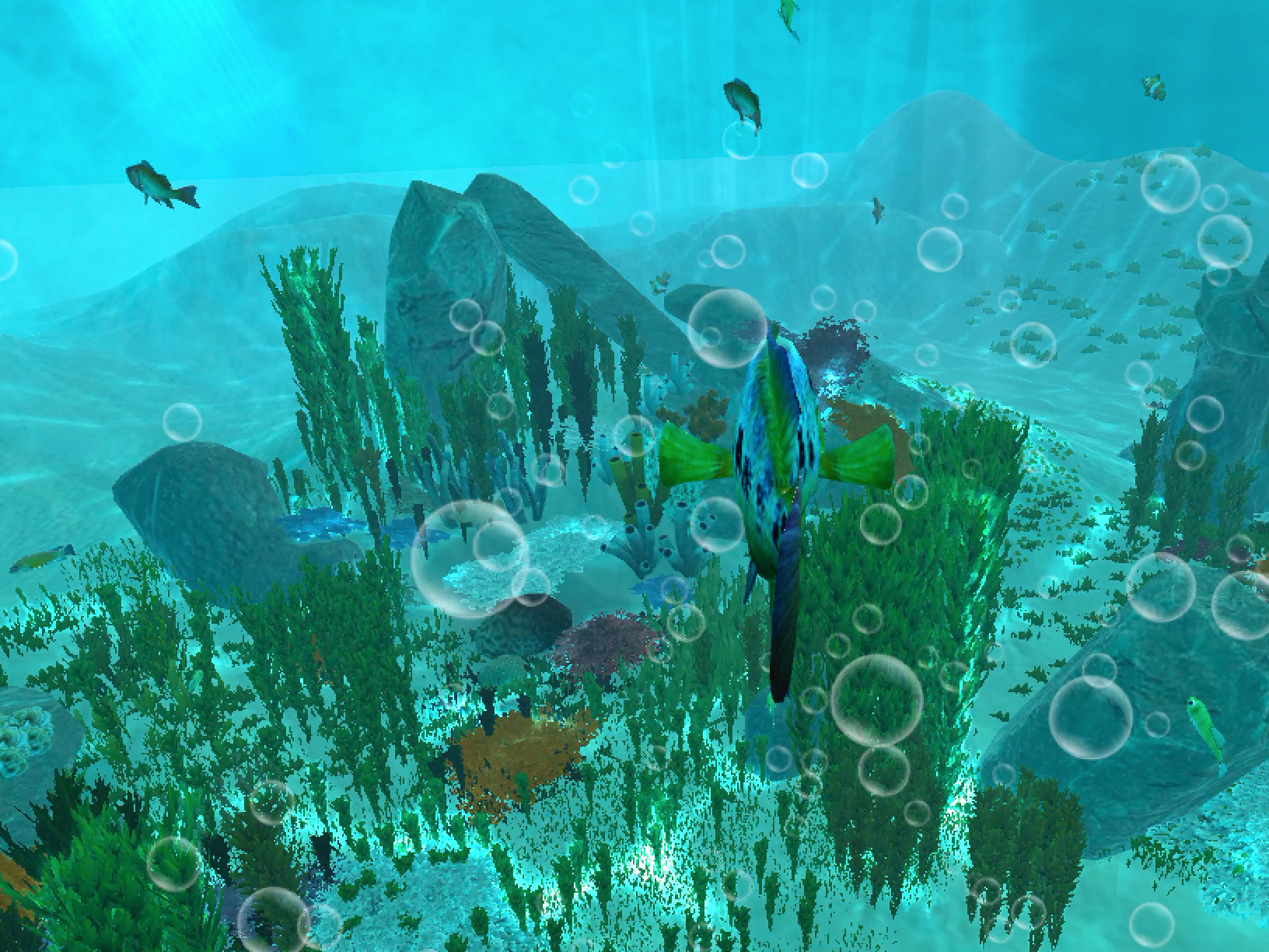Explore underwater world, collect points.<br />