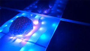 brain with lights