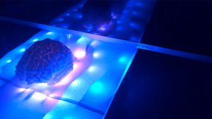 brain with LED