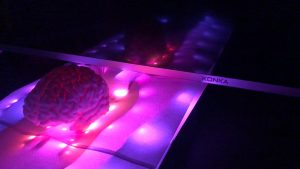 brain with LED