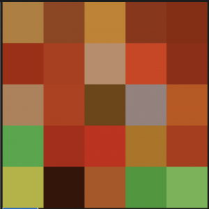 Pixel Topographies Pixel Grid