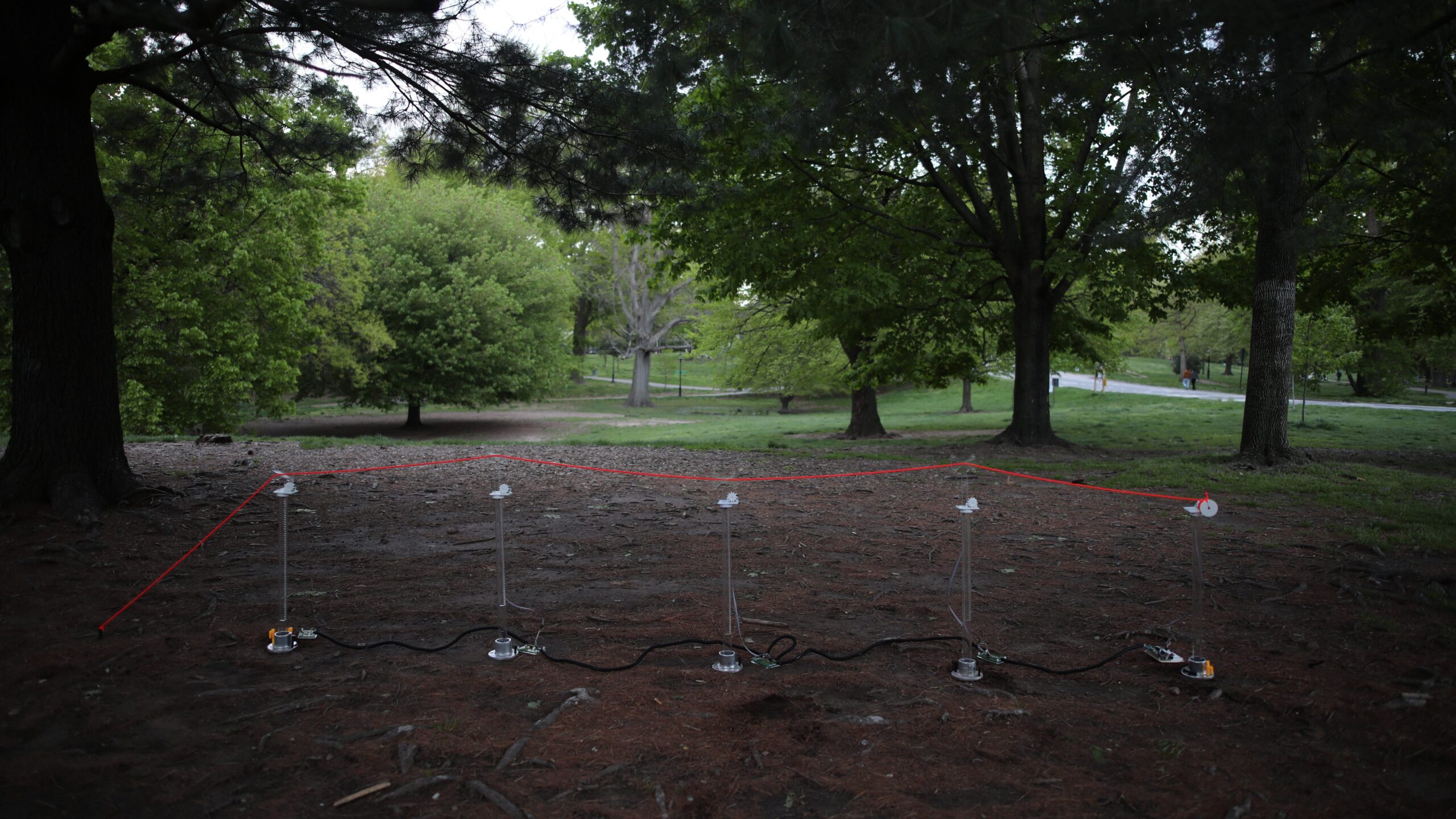 Installation set in nature space