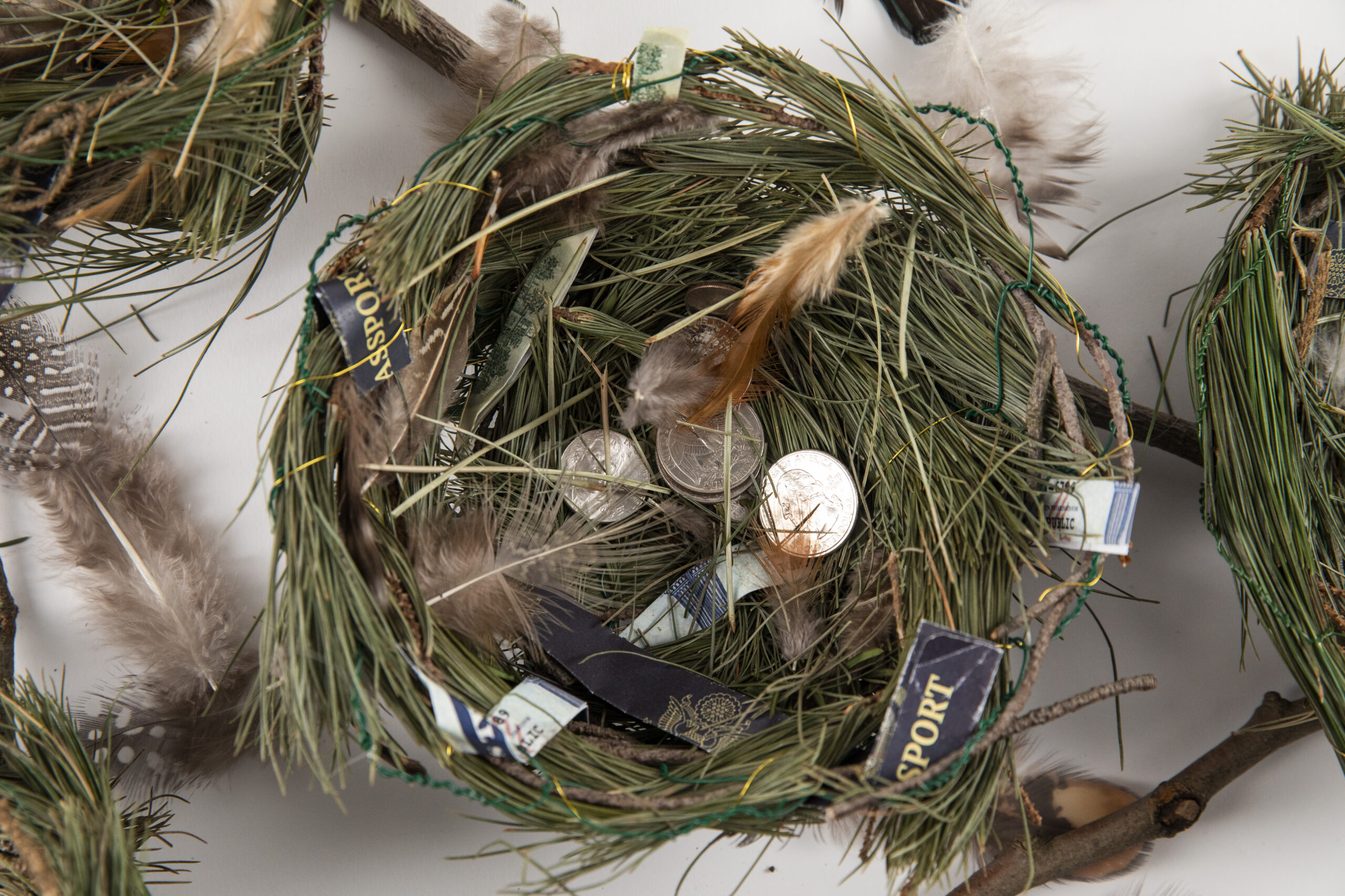 Nest made of pine needles. Quarters, dimes and nickels strewn within it. Some branches and feathers are visible outside of it.