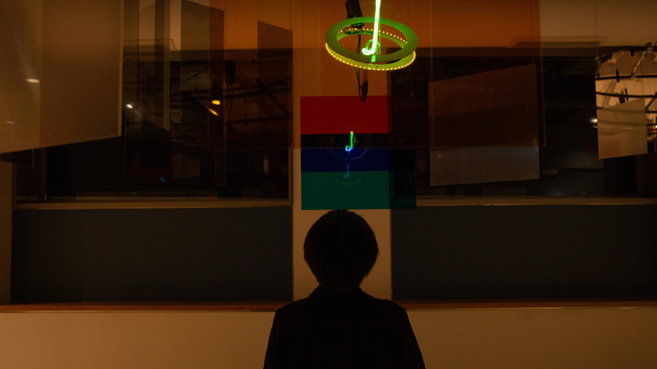 The light sculpture has only the blue neon piece on and is angled in a way that makes most of the LEDs on the printed circuit board visible. It is viewed through a yellow filter, which turns the blue neon light green while keeping the white LEDs white. Near the bottom center of the image is an upper body silhouette of me looking up at the light sculpture.