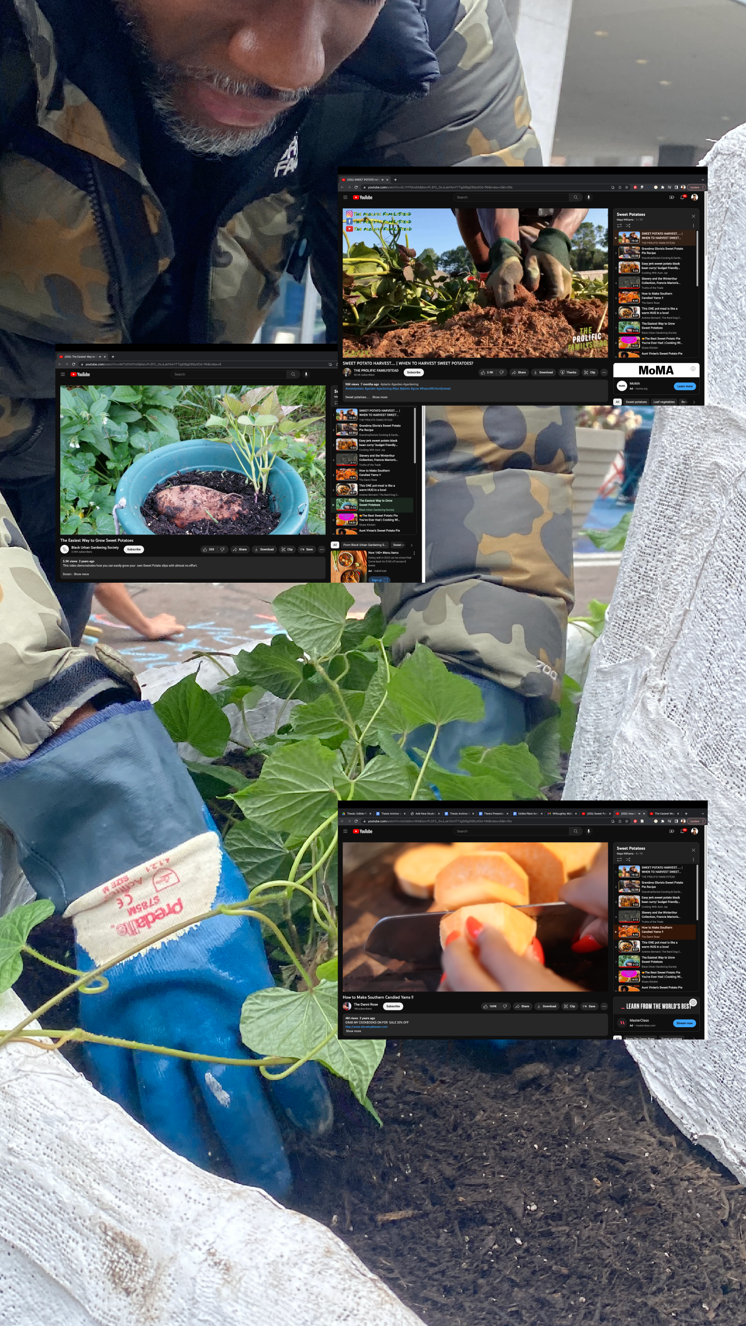 three screenshots of youtube videos explaining how to cook and grow sweet potatoes obscure an image of a Black man in camo gently placing a sweet potato with bright green vines into a bed of soil. The soil is framed by a white plaster structure on both sides.