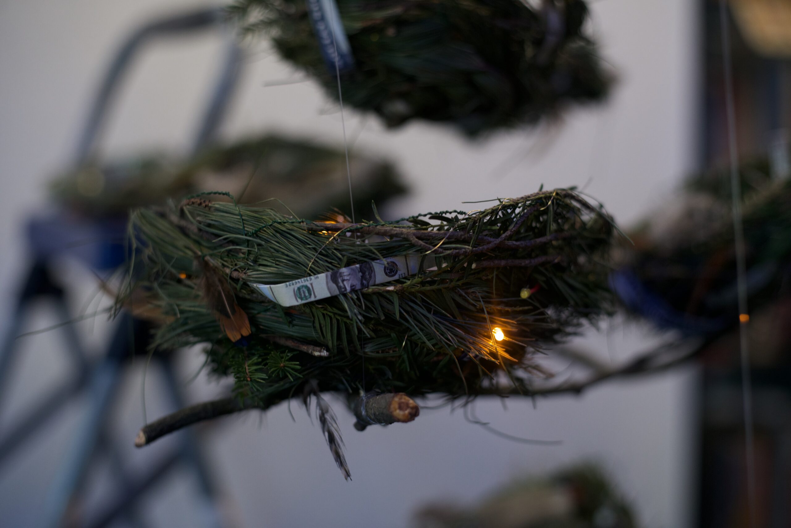 Four pine needle nests seen from the top. They are attached to thin branches. Within each are American coins consisting of quarters, dimes and nickels. Feathers are strewn around them.