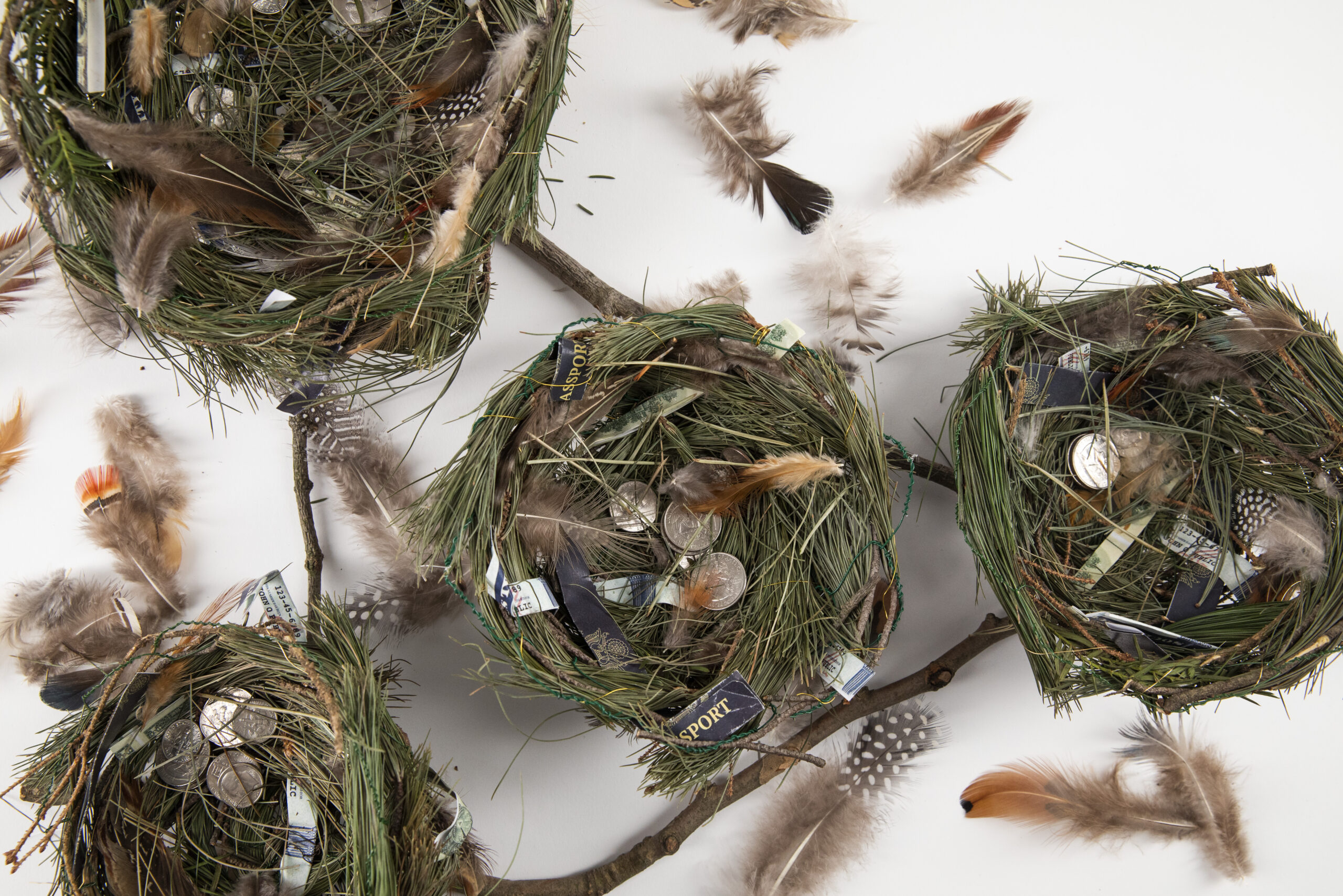 Four pine needle nests seen from the top. They are attached to thin branches. Within each are American coins consisting of quarters, dimes and nickels. Feathers are strewn around them.